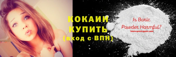 PSILOCYBIN Ельня