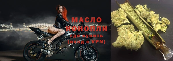 PSILOCYBIN Ельня