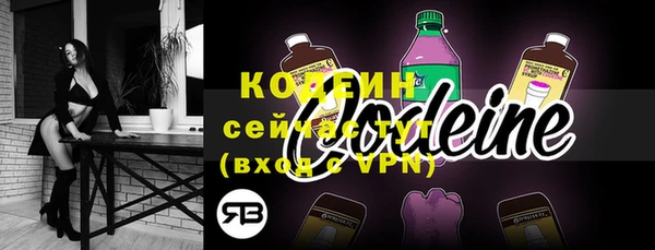 PSILOCYBIN Ельня