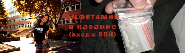 PSILOCYBIN Ельня