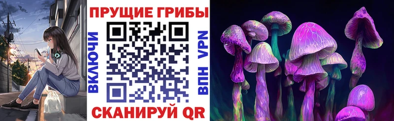 Псилоцибиновые грибы MAGIC MUSHROOMS  Себеж 